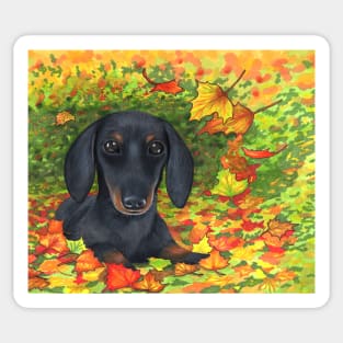Dog 142 Dachshund Fall Autumn Sticker